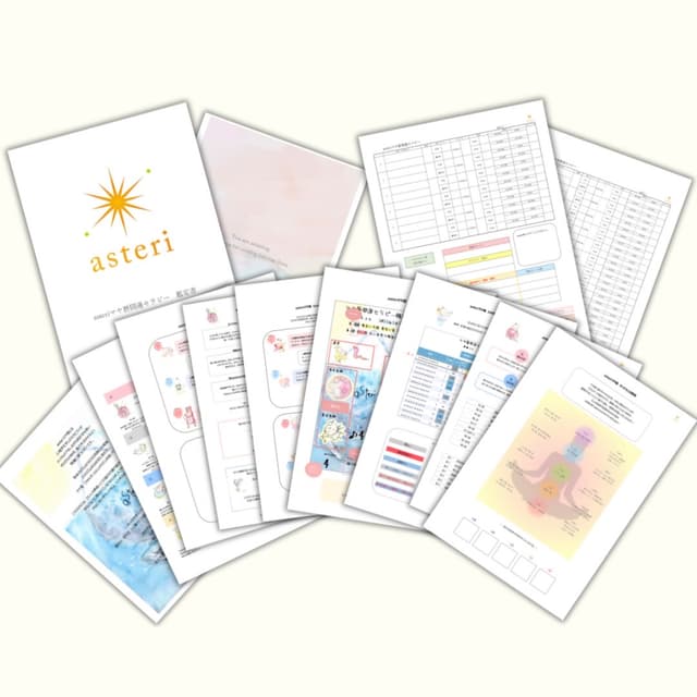 asteriマヤ暦Excel鑑定書セット